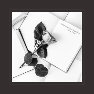 免费看奥特曼娘片子的网站
